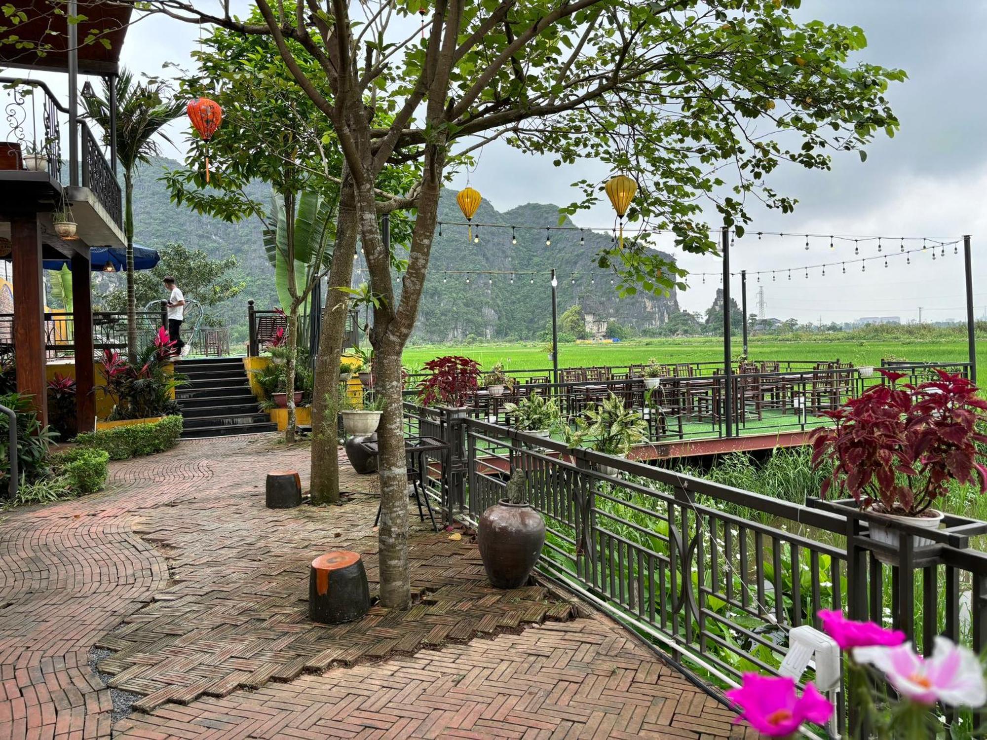 Apartament Papaya Bungalow & Rice Fields Ninh Binh Zewnętrze zdjęcie