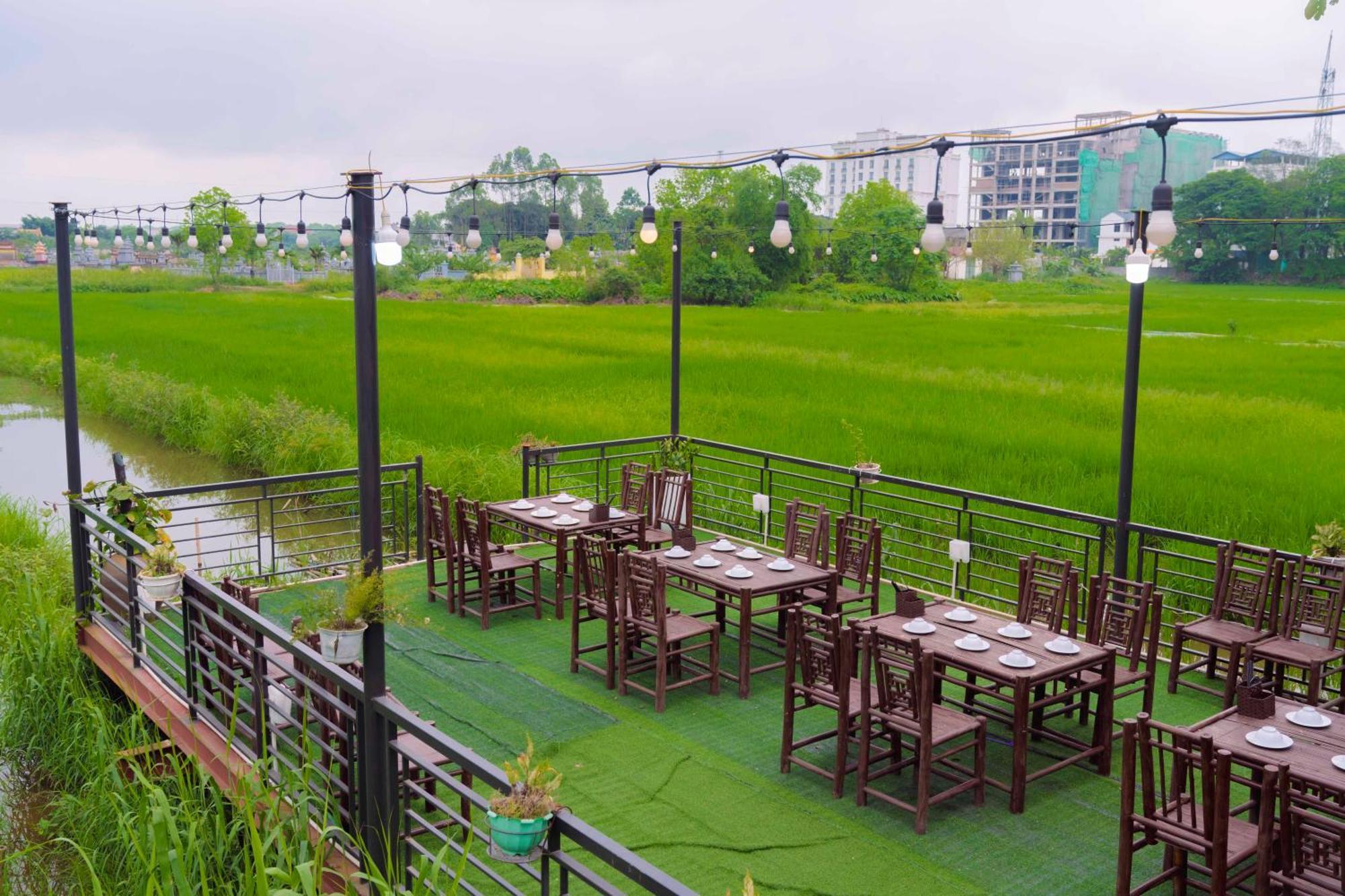 Apartament Papaya Bungalow & Rice Fields Ninh Binh Zewnętrze zdjęcie