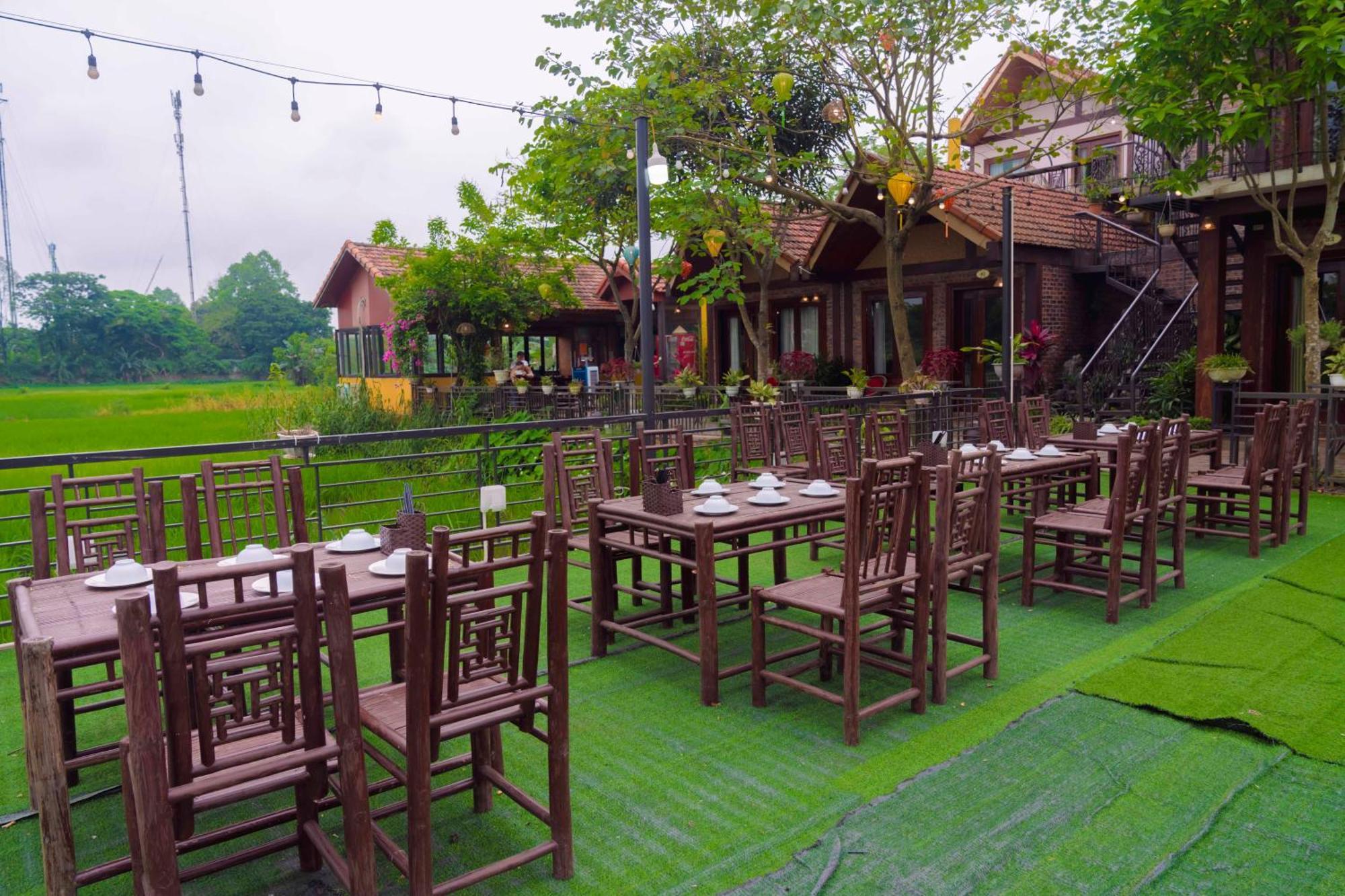 Apartament Papaya Bungalow & Rice Fields Ninh Binh Zewnętrze zdjęcie