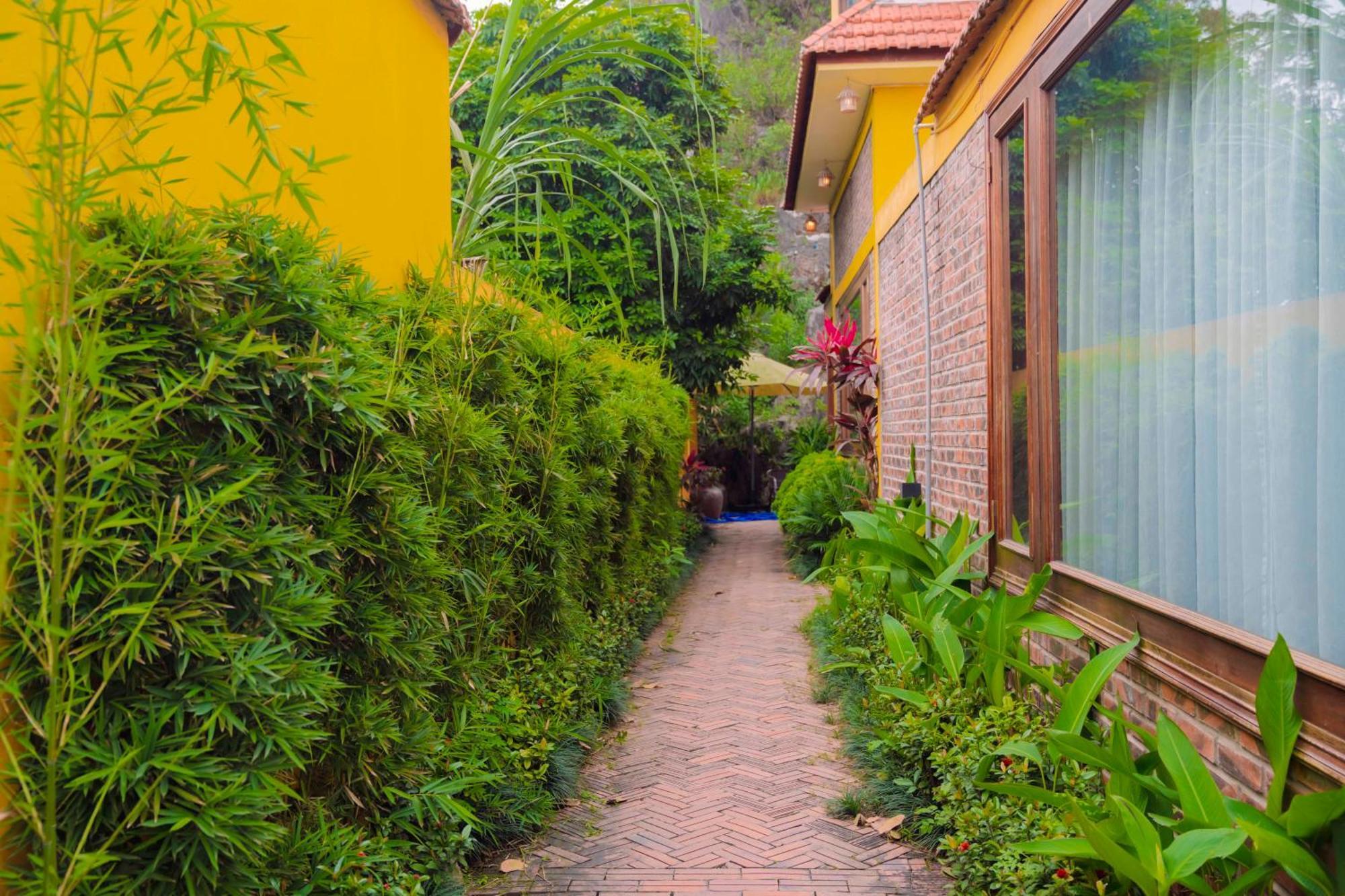 Apartament Papaya Bungalow & Rice Fields Ninh Binh Zewnętrze zdjęcie