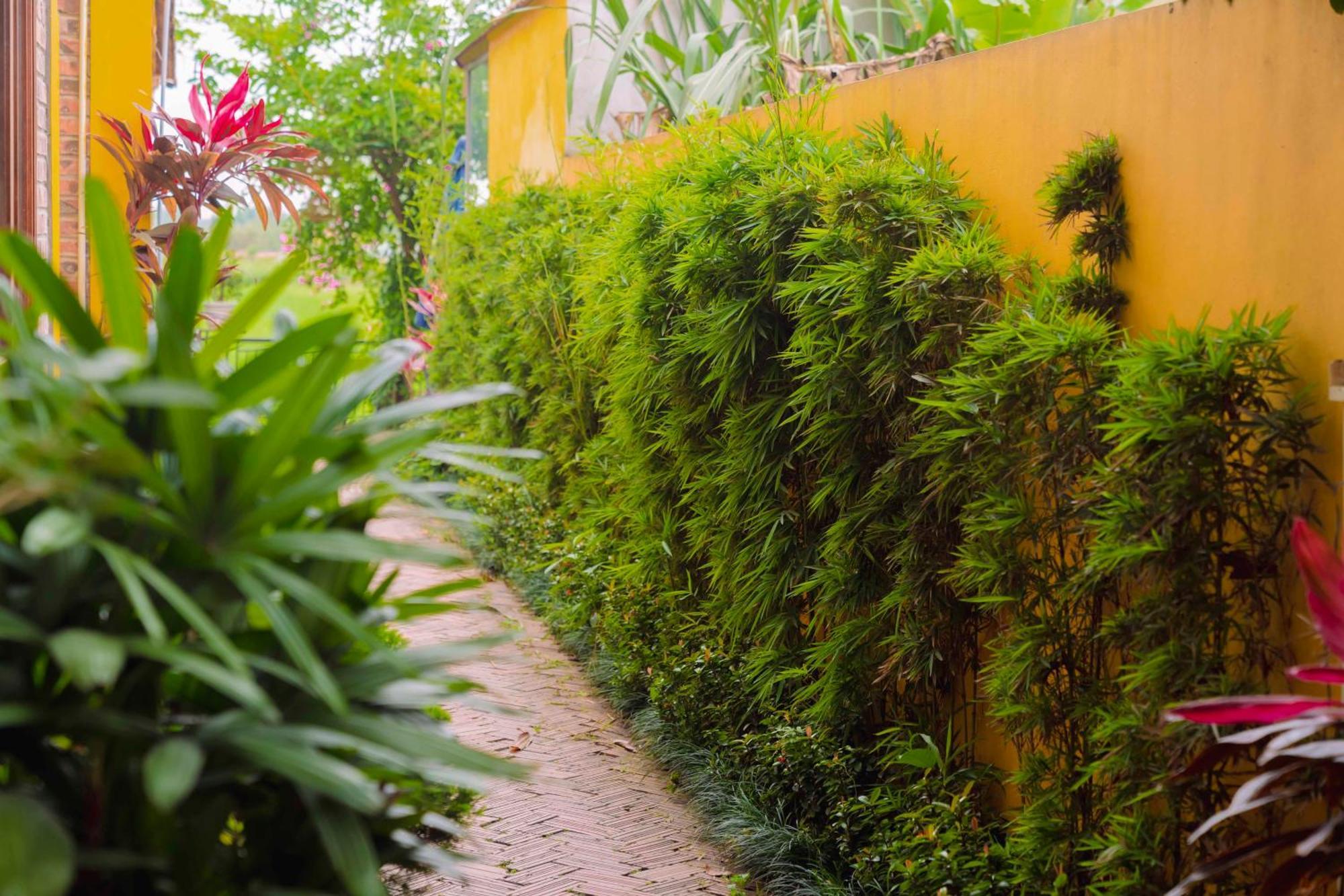 Apartament Papaya Bungalow & Rice Fields Ninh Binh Zewnętrze zdjęcie